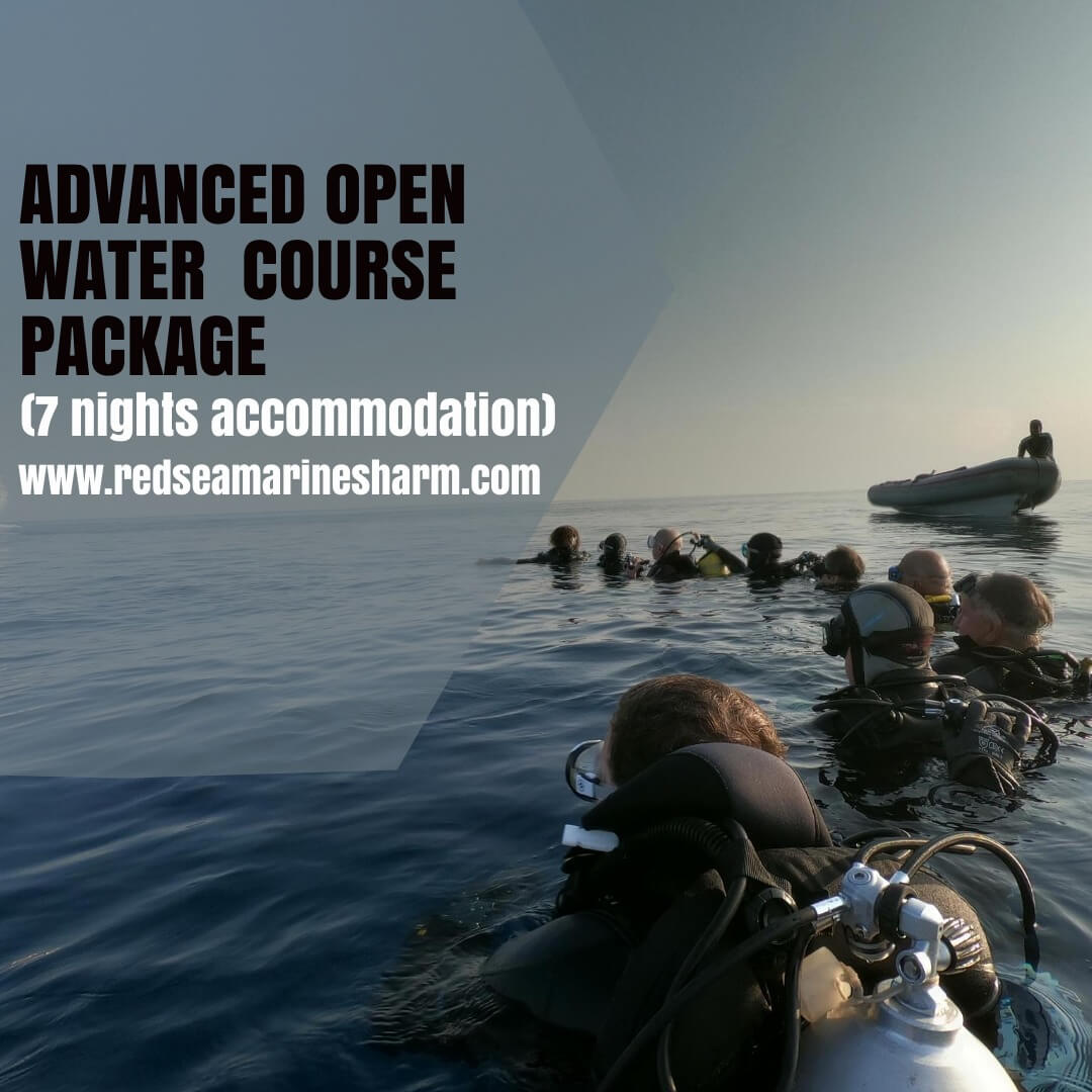 Open water diver course