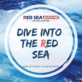 Scuba Livaboard Sharm