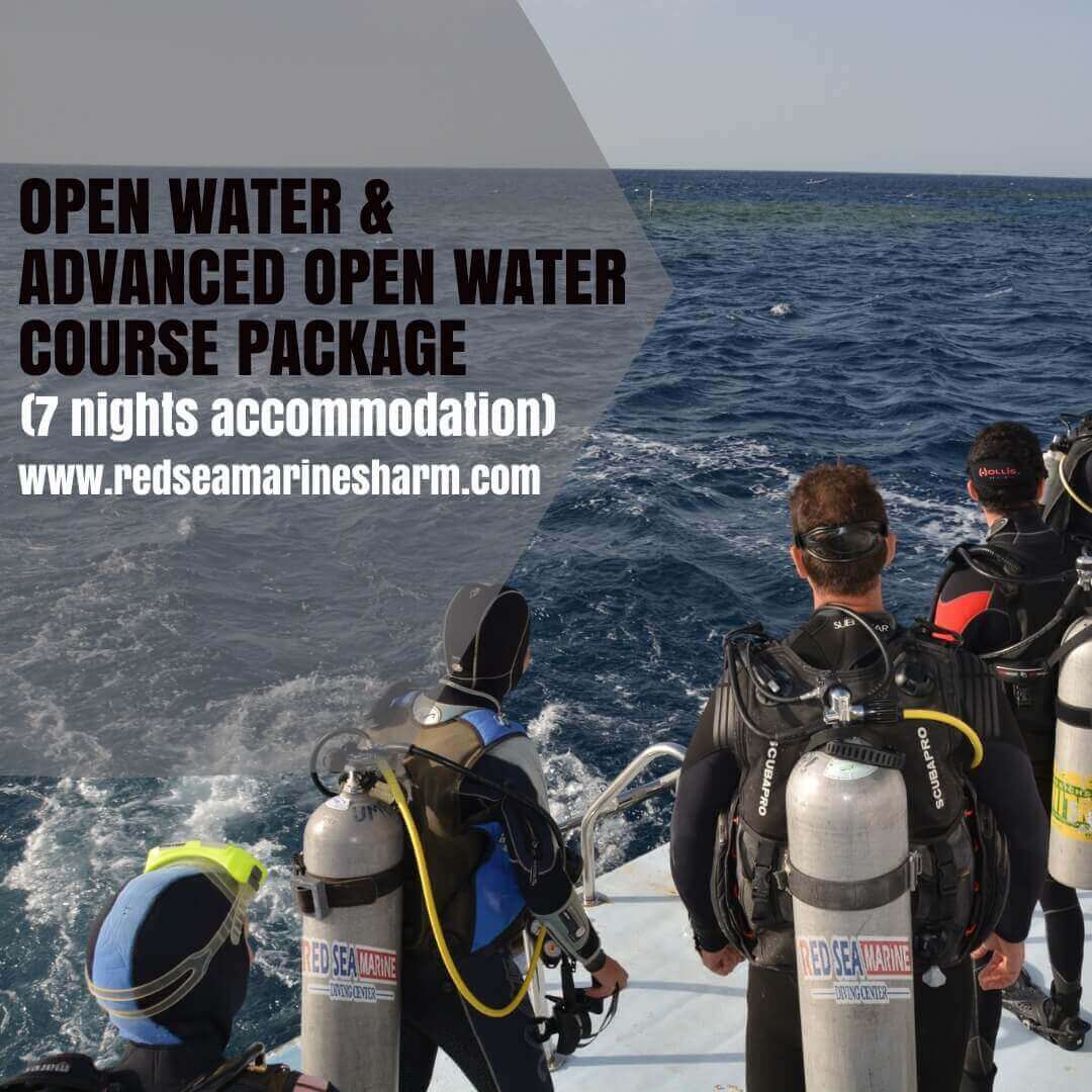 Scuba offers