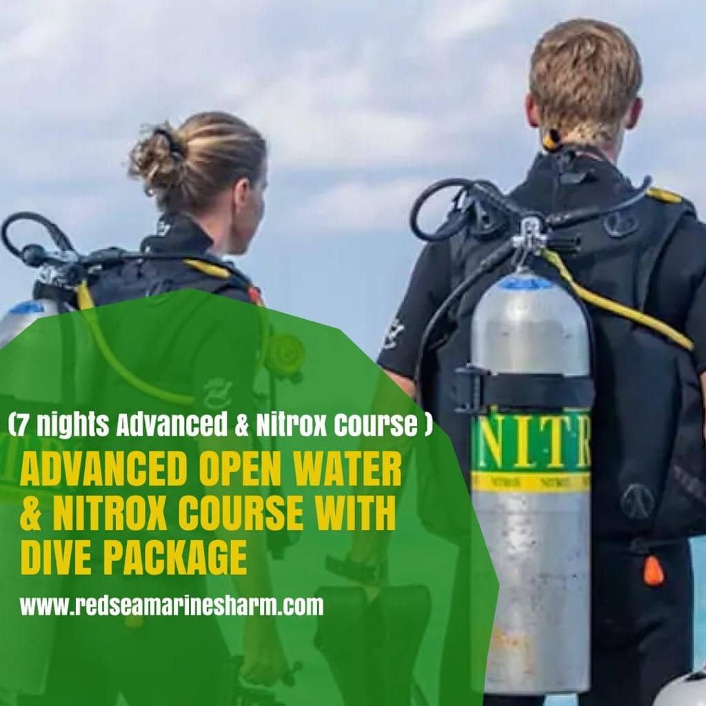 Scuba Nitrox Course