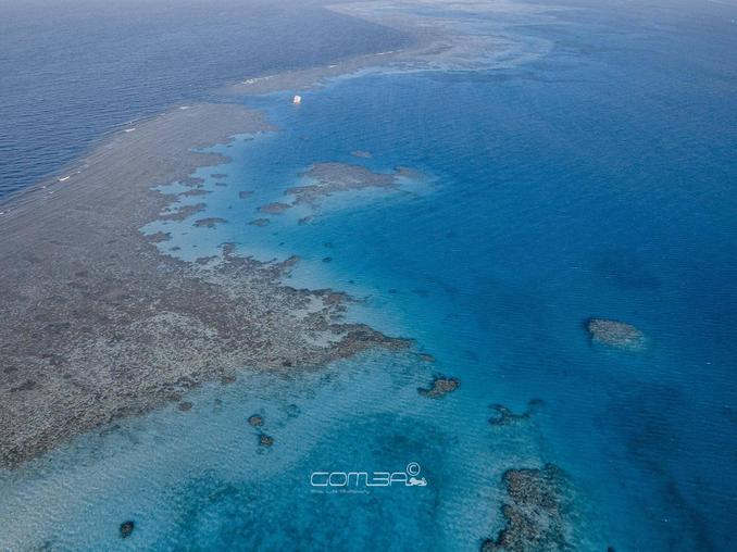 liveaboard trips in sharm