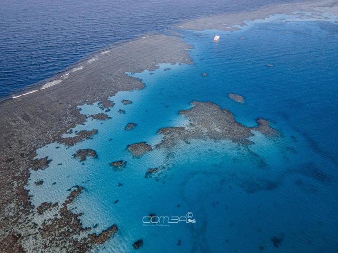 liveaboard sharm